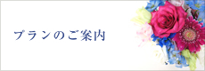 組み立てプランのご案内